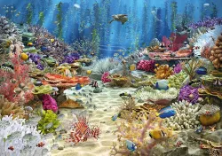 Coral Reef Paradise Sea Life
