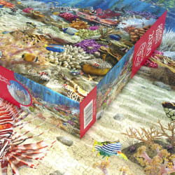 Coral Reef Paradise Sea Life
