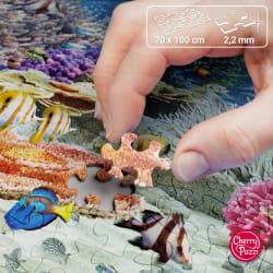 Coral Reef Paradise Sea Life