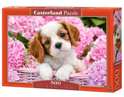 Pup in Pink Flowers Dogs