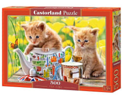 Tea Time - Scratch and Dent Cats