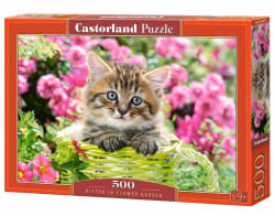 Kitten in Flower Garden Animals