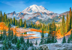 Mount Rainier National Park, USA Landscape
