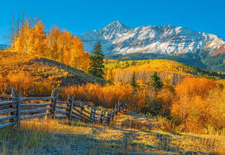 View Of Wilson Peak In Autumn, USA Fall