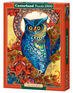 Hoot, David Galchutt - Scratch and Dent Birds