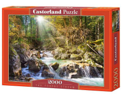 The Forest Stream Forest