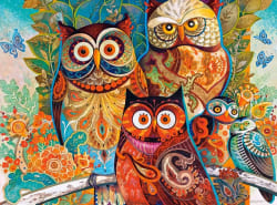 Owls - Scratch and Dent Birds