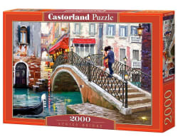 Venice Bridge Fine Art
