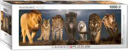 Big Cats Cats