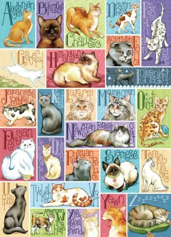 Alpha Cat - Something's Amiss! Cats