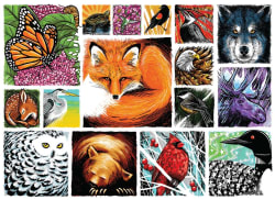 Woodland Critters - Mixed Up! Animals