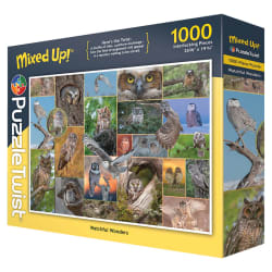 Watchful Wonders - Mixed Up! Birds