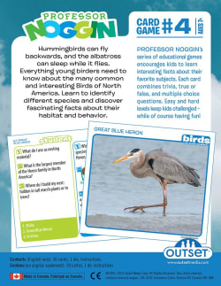 Professor Noggin's Birds of North America