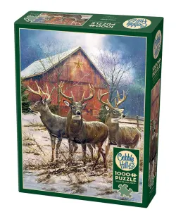 Three Kings Forest Animal