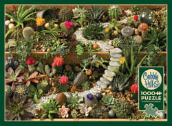 Succulent Garden Flower & Garden