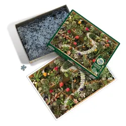 Succulent Garden Flower & Garden
