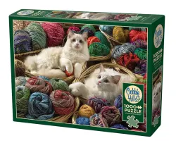 Ragdolls - Scratch and Dent Cats