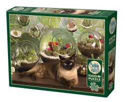 Terrarium Cat Cats