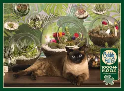 Terrarium Cat Cats