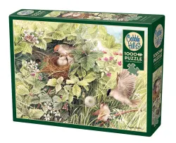 Hidden Nest Birds