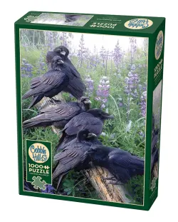 Raven Rendezvous - Scratch and Dent Birds