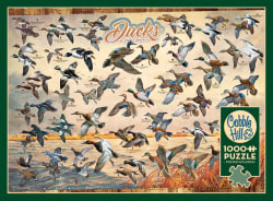 Ducks of North America Birds