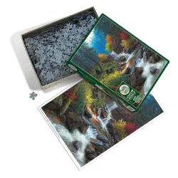 Mountain Cascade Forest