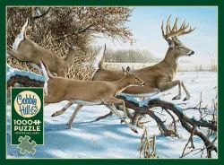 Breaking Cover Forest Animal