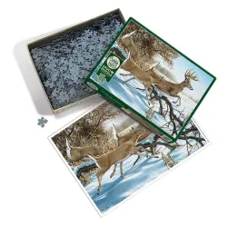 Breaking Cover Forest Animal