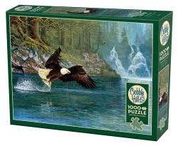 Fly Fishing (eagle) Birds