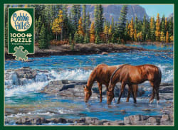 On the Rocks (horses) Horse