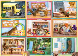 Squirrels at School Forest Animal