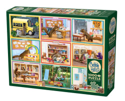 Squirrels at School Forest Animal