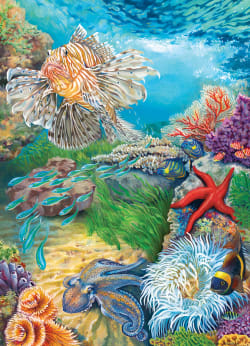 Reef Life Sea Life