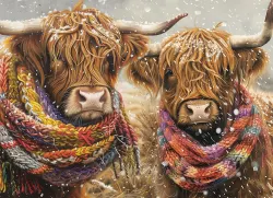 Brrr! Animals