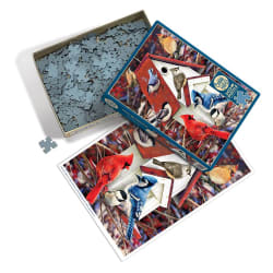 Winter Birdhouse Birds