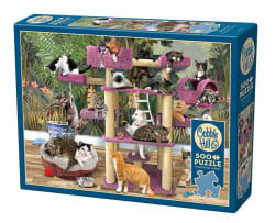 Jungle Cats Cats