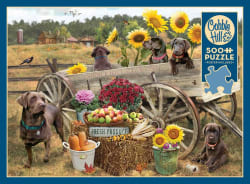 Choc Wagon Countryside