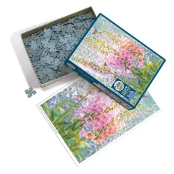 Summer Rainbow Summer