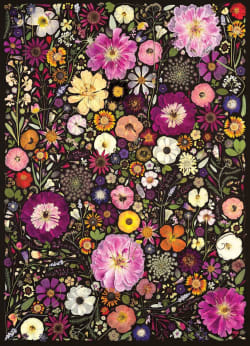 Flower Press: Little Hollow & Red Daisy Flower & Garden