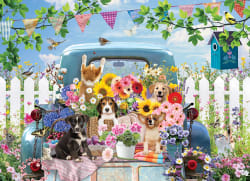 Country Truck in Summer Dogs