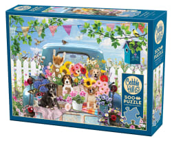 Country Truck in Summer Dogs