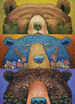 Bear Eyes: Harvest Bear