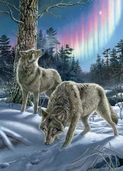 Northern Lights Animals