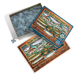 World Record Catches Fish