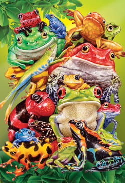 Frog Business Reptile & Amphibian