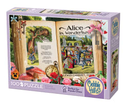 Once Upon a Time: Alice in Wonderland Books & Reading