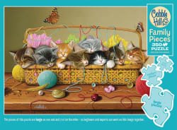 Basket Case Cats