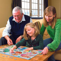 Mercats (Family) Cats