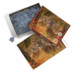 Secret Rendezvous Forest Animal